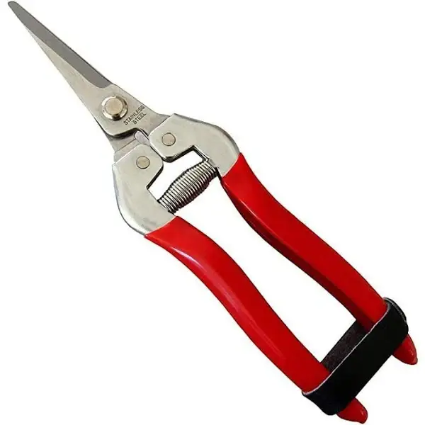 Pruning Shear — Uncategorized for Dubai & UAE delivery | Planto.ae