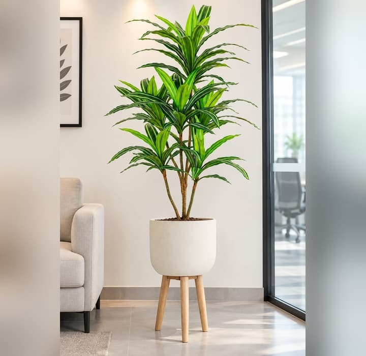 Artificial Dracaena Plant — Artificial Plants for Dubai & UAE delivery | Planto.ae