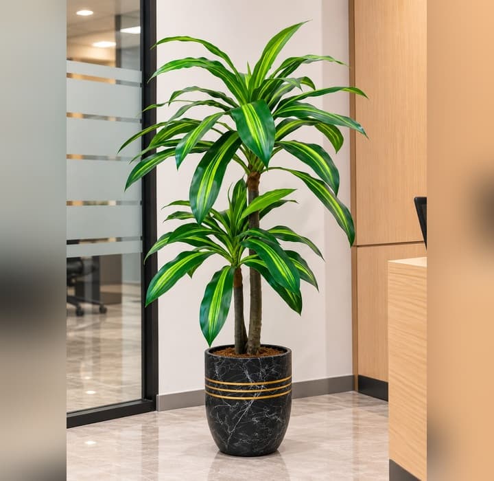 Dracaena plant Fake — Artificial Plants for Dubai & UAE delivery | Planto.ae